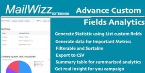 Advanced Analytics for MailWizz – Deeper Campaign Insights using Custom Fields