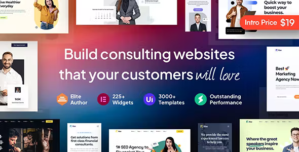 Rise – Business Consulting WordPress Theme 2.0.5